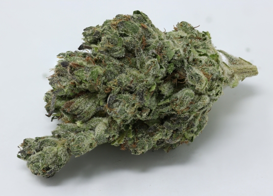 Mail order 420
